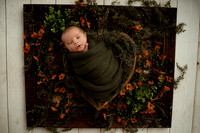 Colter's Newborn Session