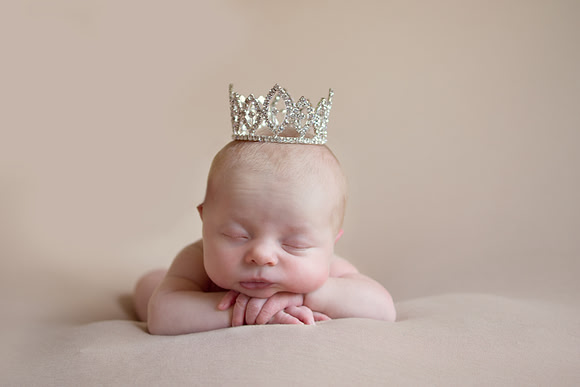 Newborn Portraits